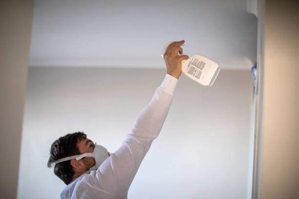 Best Localized Mold Remediation (e.g., coastal areas, humid climates) in Watervliet, MI