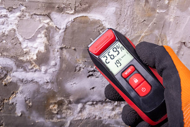 Best Health and Safety Mold Remediation in Watervliet, MI
