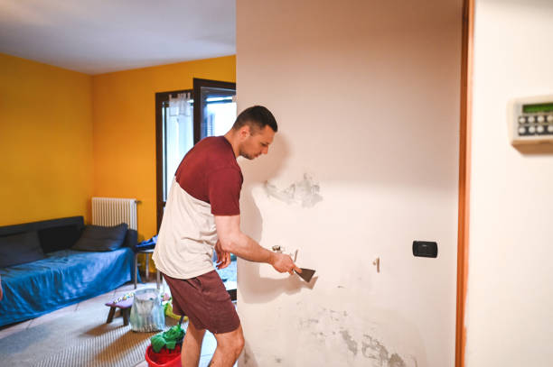 Best Attic Mold Remediation in Watervliet, MI